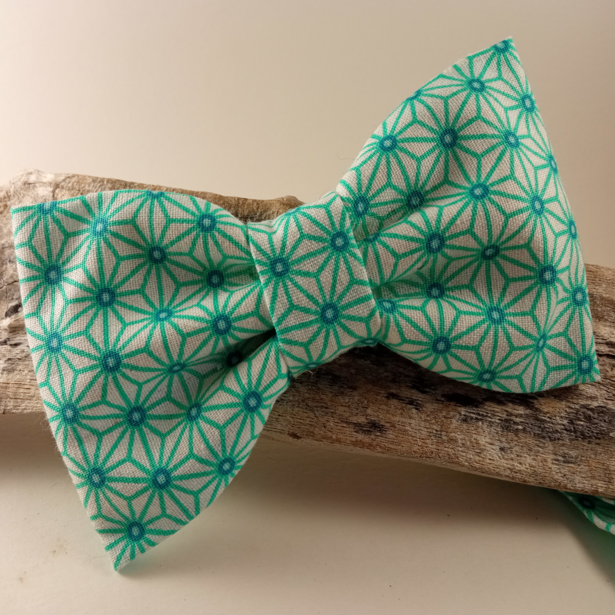 Sublime noeud papillon graphique vert d'eau