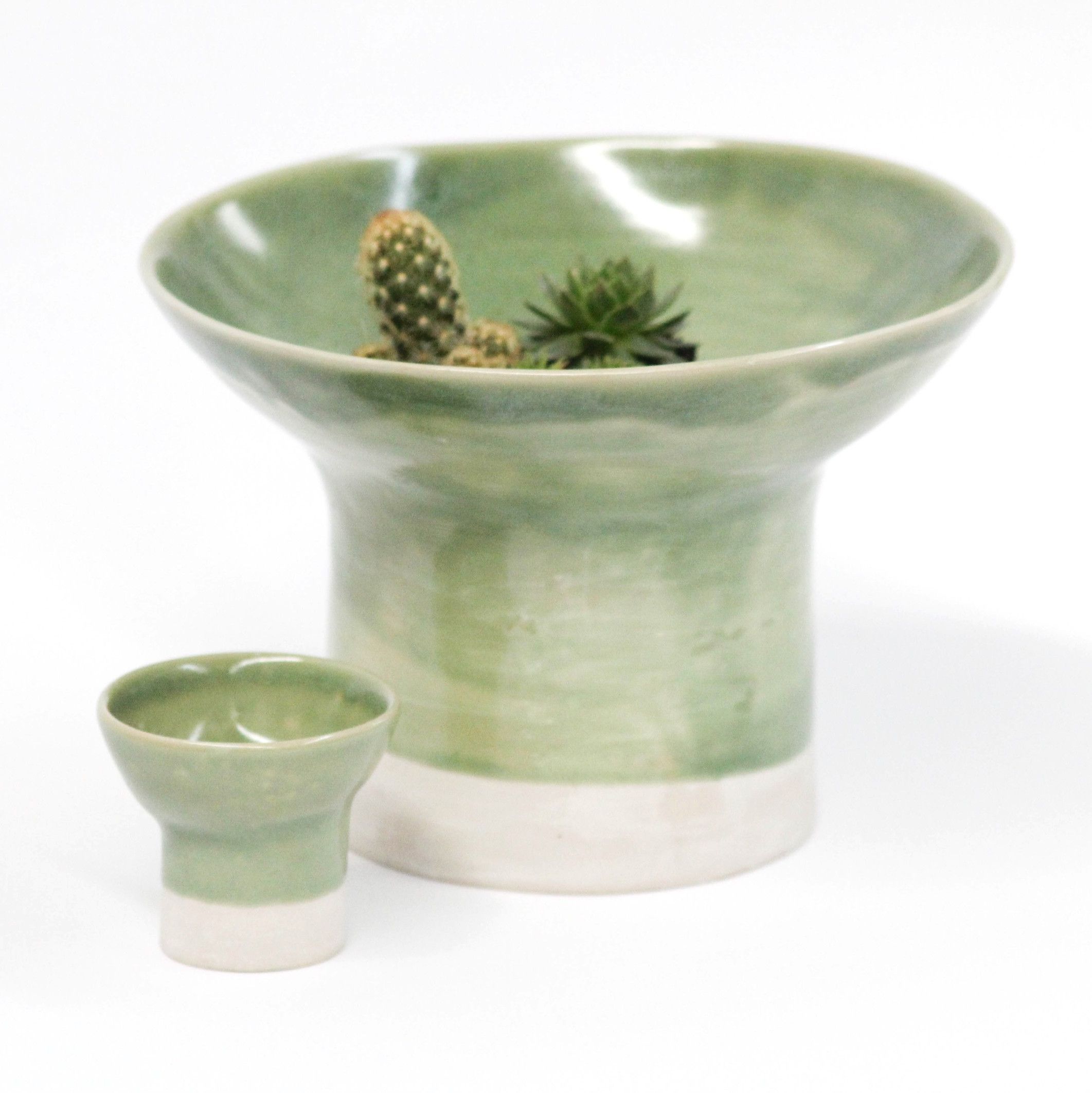 Grand cache Pot collection Lichen