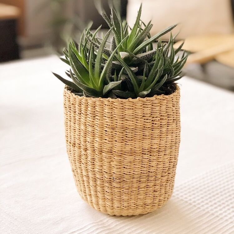 Cache-pot / panier TAMA