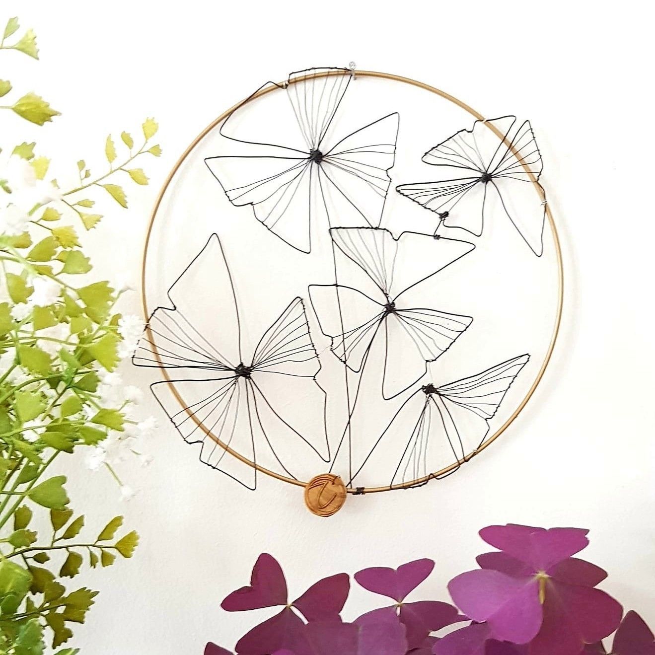 Oxalis Trèfles 20cm