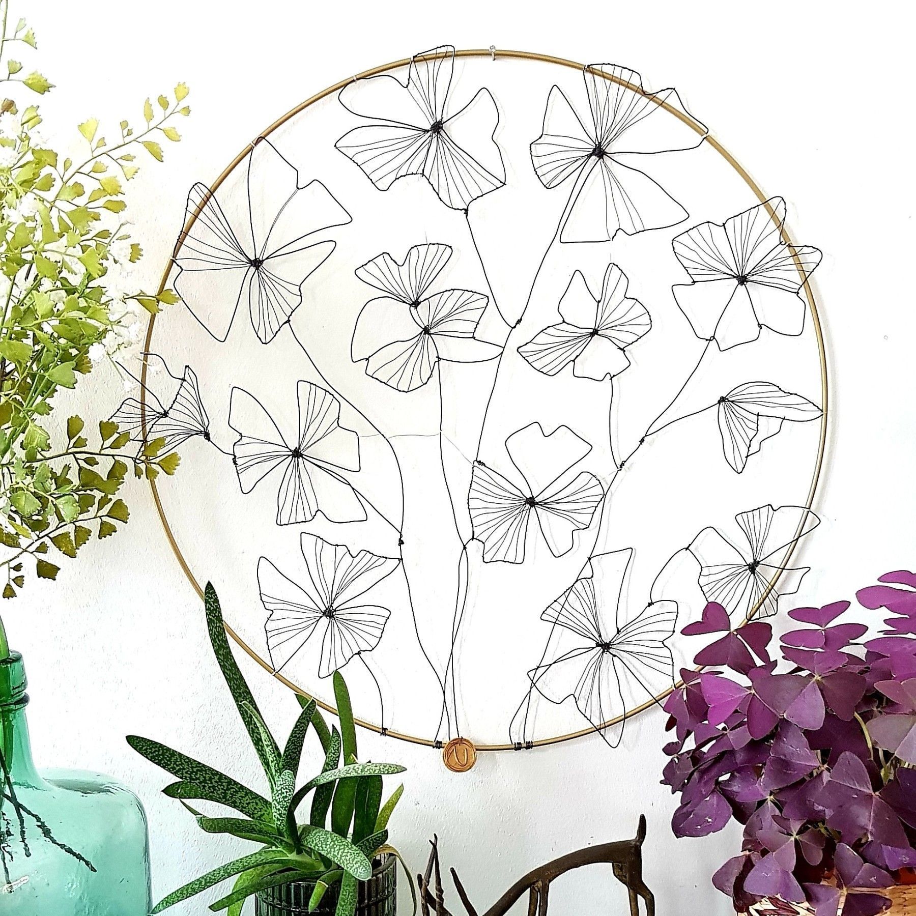 Oxalis Trèfles 40cm