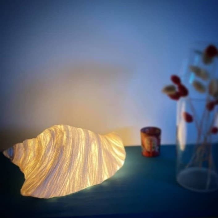 Collection Coquillage