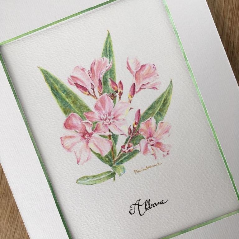 La lumière du laurier rose