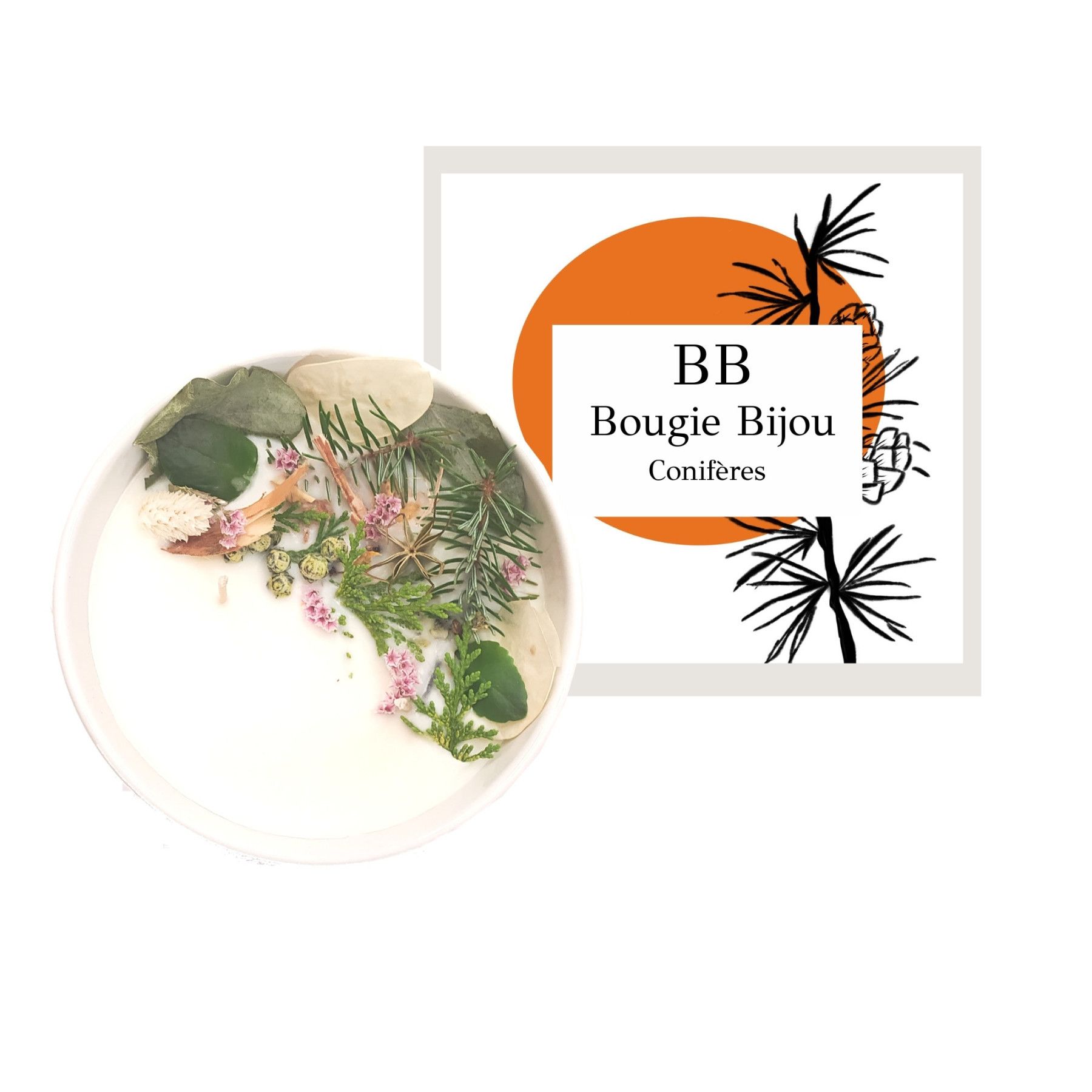 Bougie Bijou Conifères