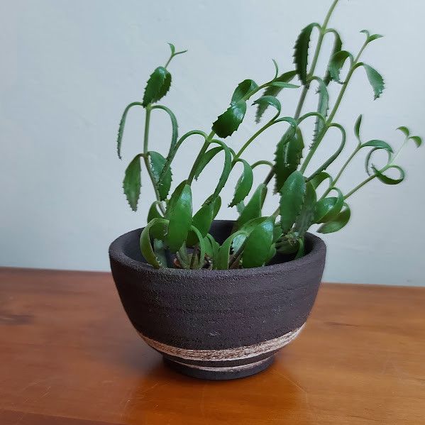 Pot de fleurs Grès Noir Chamotté 2 traits