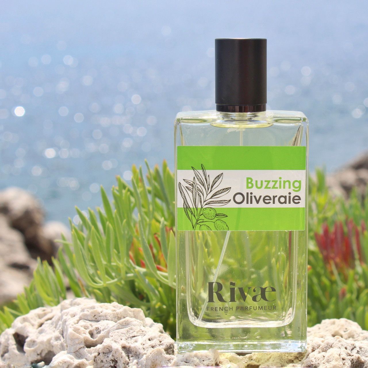 Buzzing Oliveraie - eau de toilette bois d'olivier et agrumes