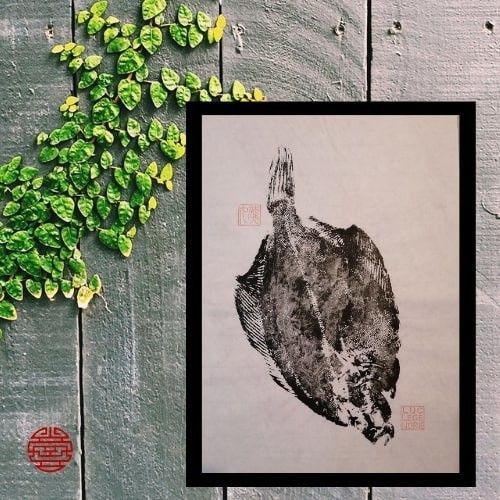 Poisson plat de Bretagne