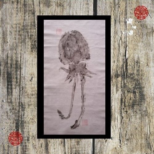 Seiche des côtes de Bretagne