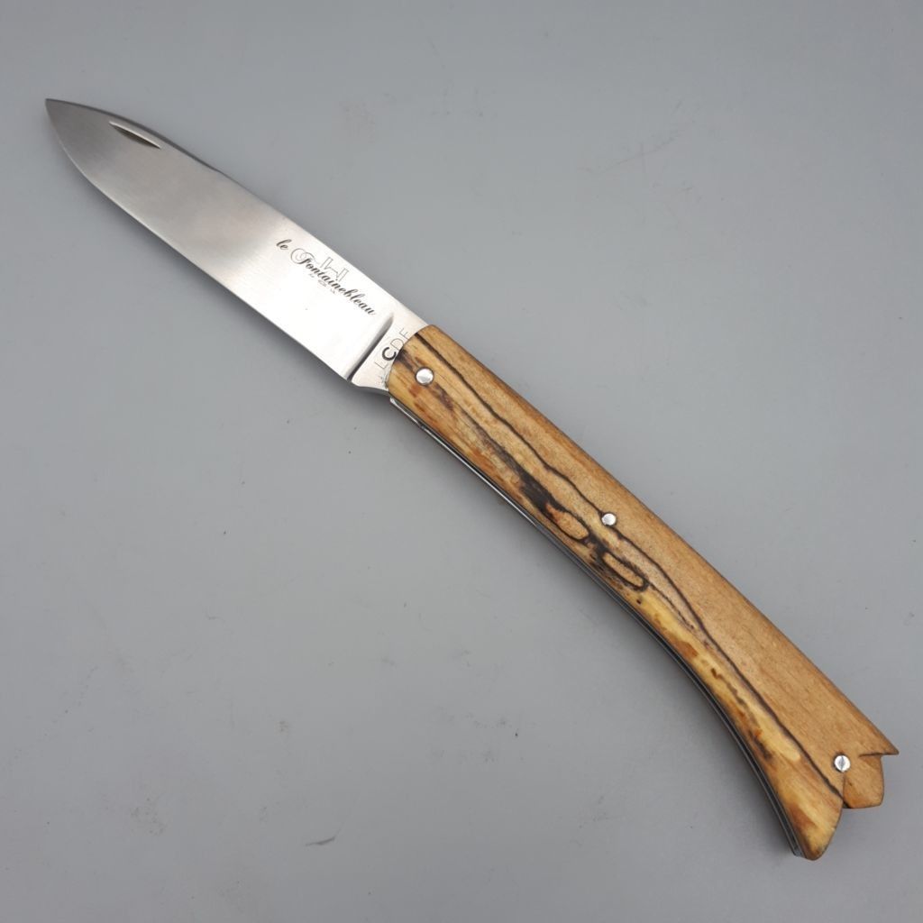 Fontainebleau hêtre échauffé