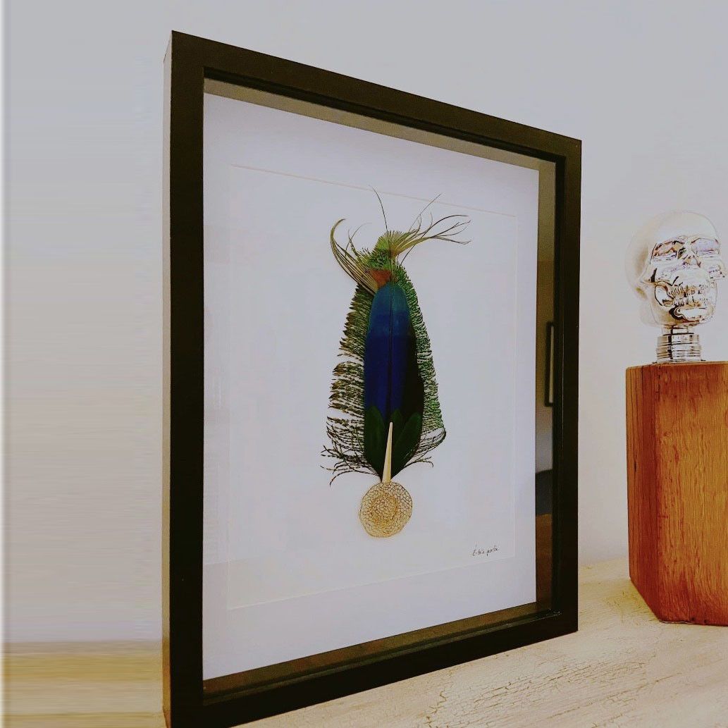Cadre 3D noir bijou mural en laiton et ses plumes de paon et de perroquet