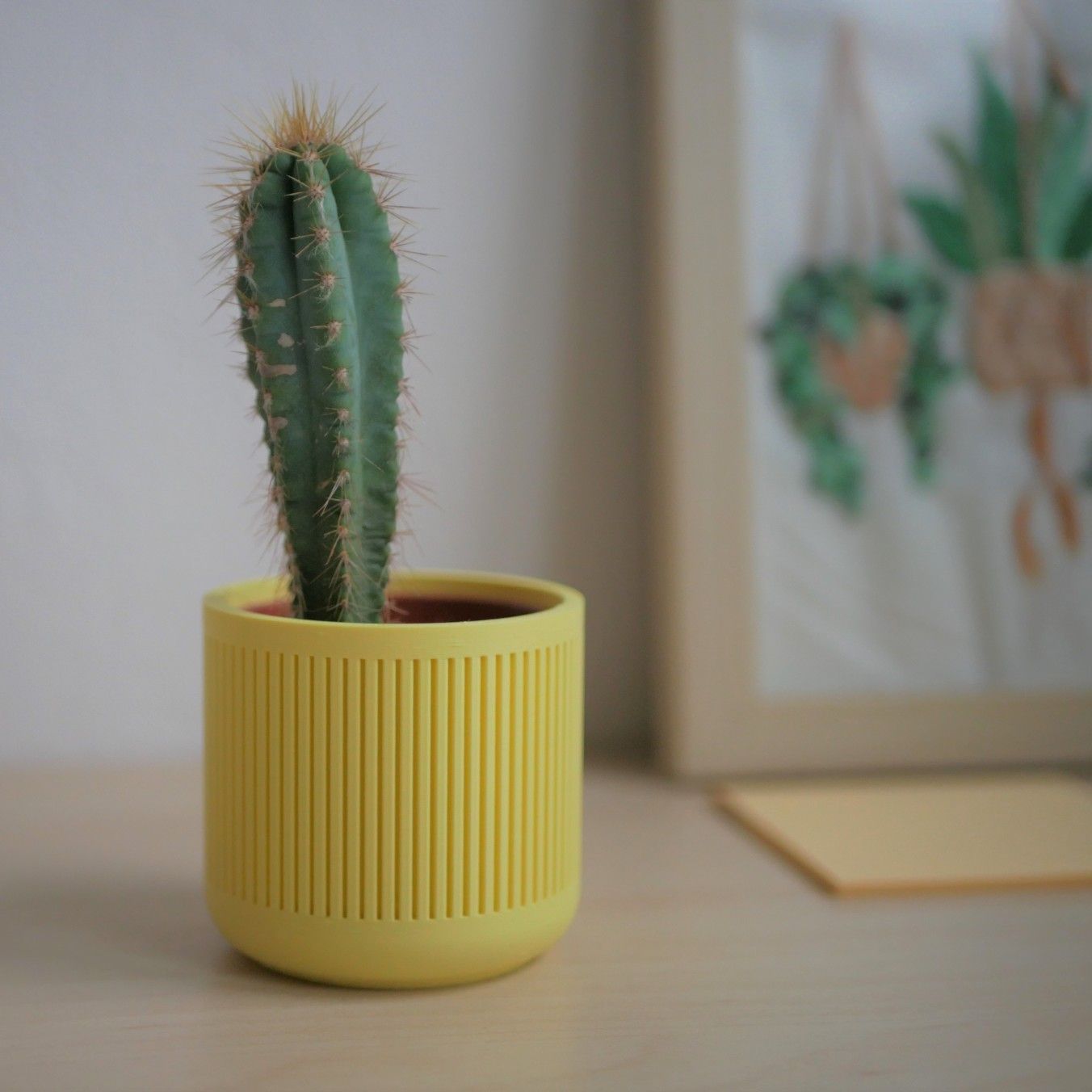 Pot décoratif / Cache-pot pour Cactus ou succulente - Édition Pastel Jaune