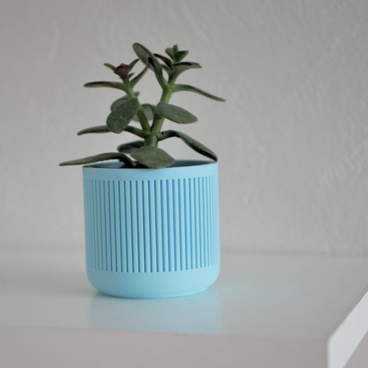 Pot décoratif / Cache-pot pour Cactus ou succulente - Édition Pastel Bleu