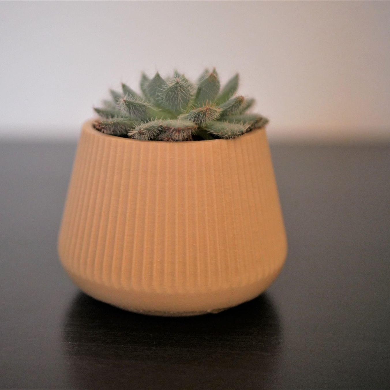 One - Pot décoratif / Cache-pot pour Cactus ou succulente - Bois