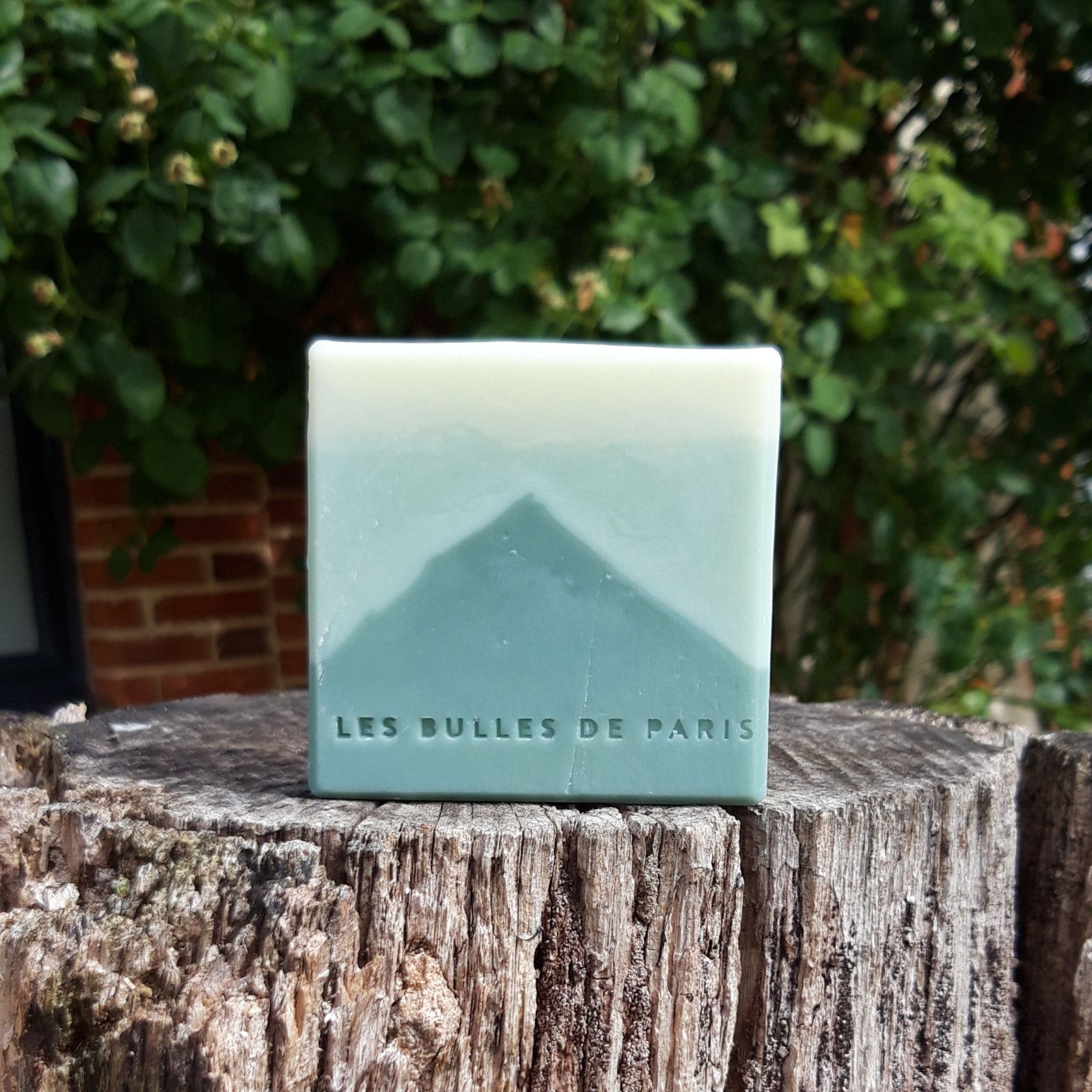 Savon surgras Montagne - Senteur Forêt