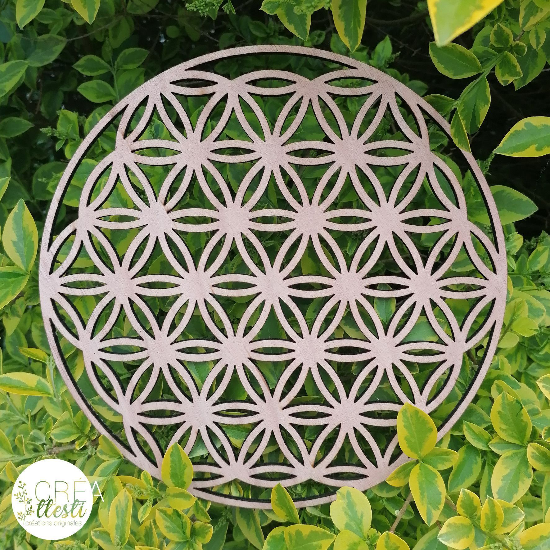 Fleur de vie - 27cm en bois peuplier