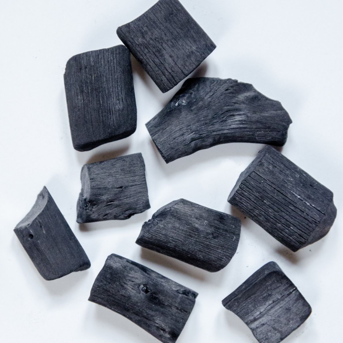 1 charbon Binchotan ~ Taille XL