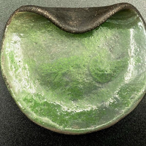 Repose cuillère ou vide poche en céramique raku, émail vert - L