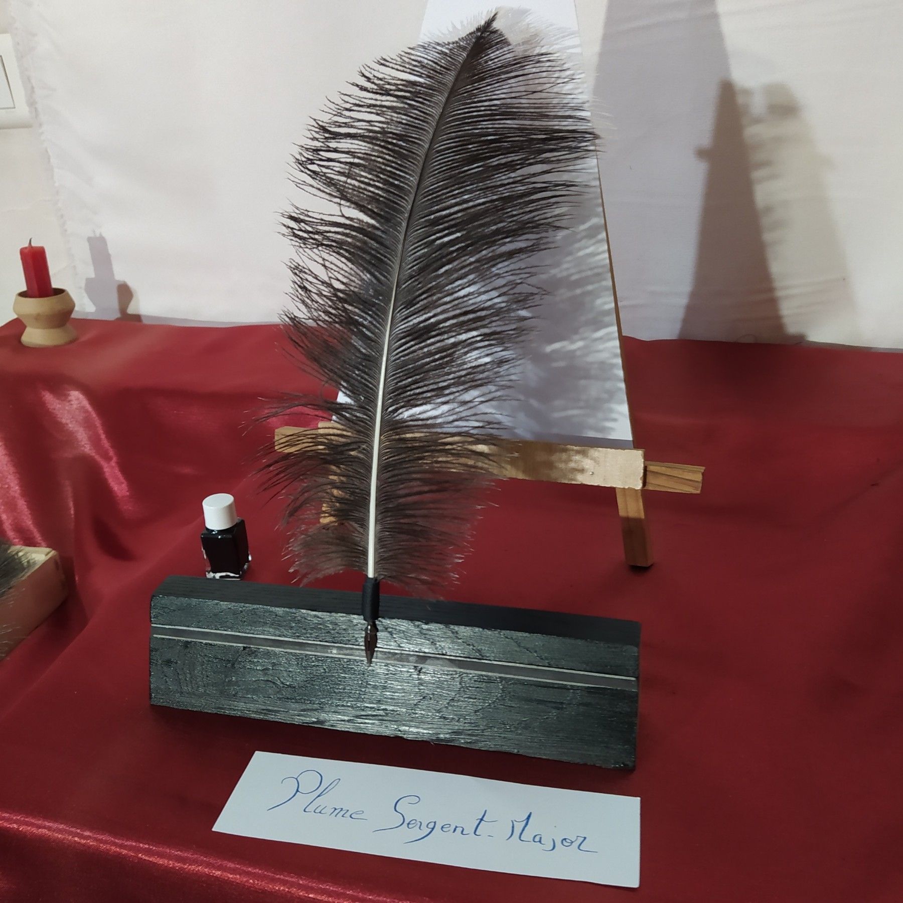 Véritable plume d'autruche Sergent-Major avec sa fiole d'encre noire de Chine