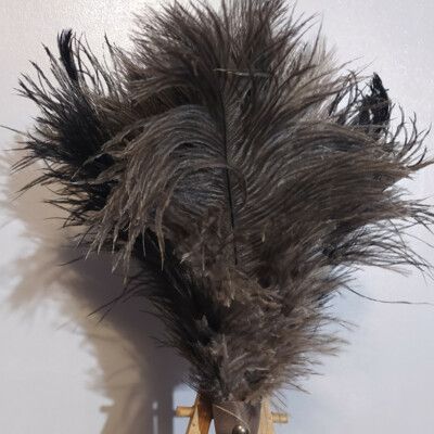 Plumeau de plumes d'autruche vintage grand, nettoyeur de poussière, plumeau  de grande envergure -  France