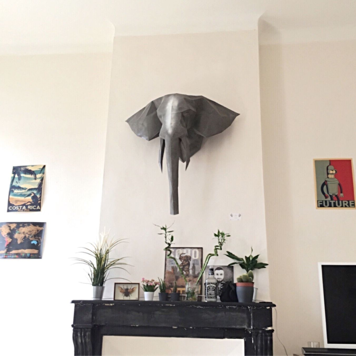 Éléphant Lalur - Simple