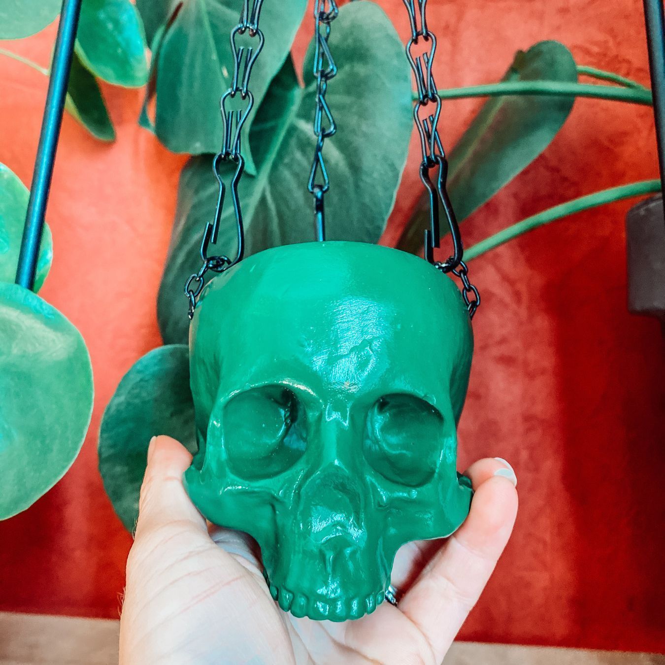 Suspension plantes en forme de tête de mort