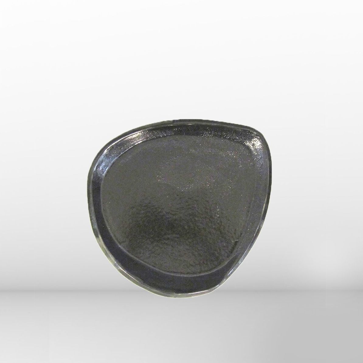 Assiette Procaryote - collection Cellule