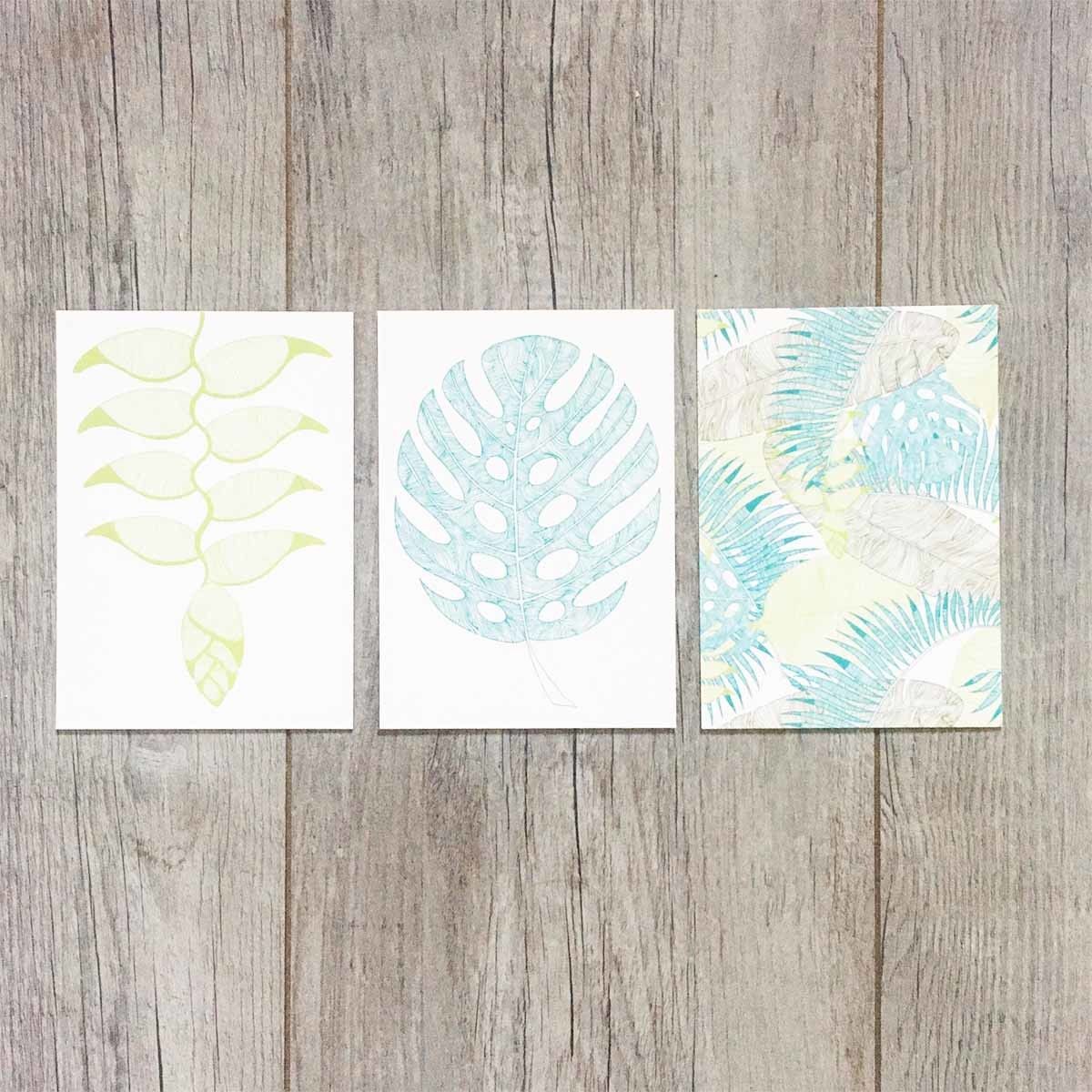 Carte Exotic Canopy Monstera