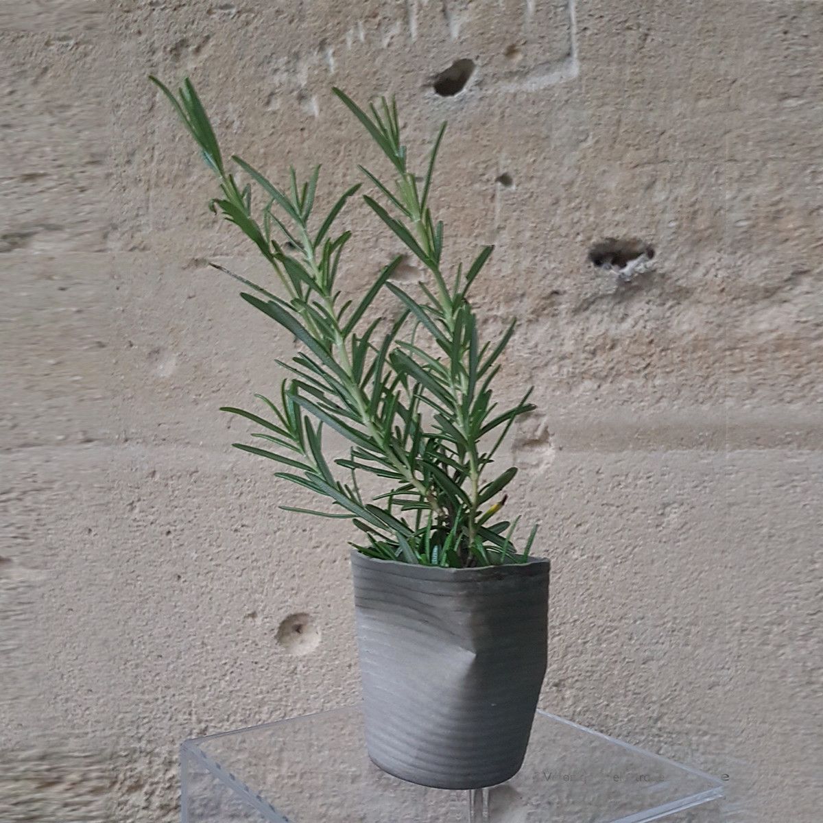 Petit vase gobelet froissé béton