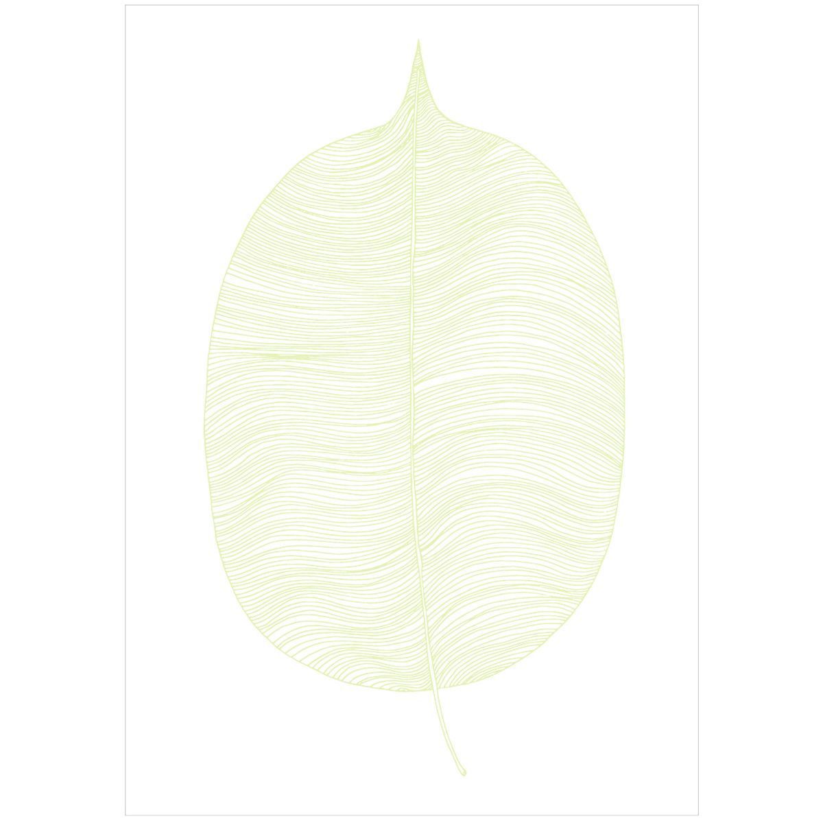 Affiche Exotic Canopy