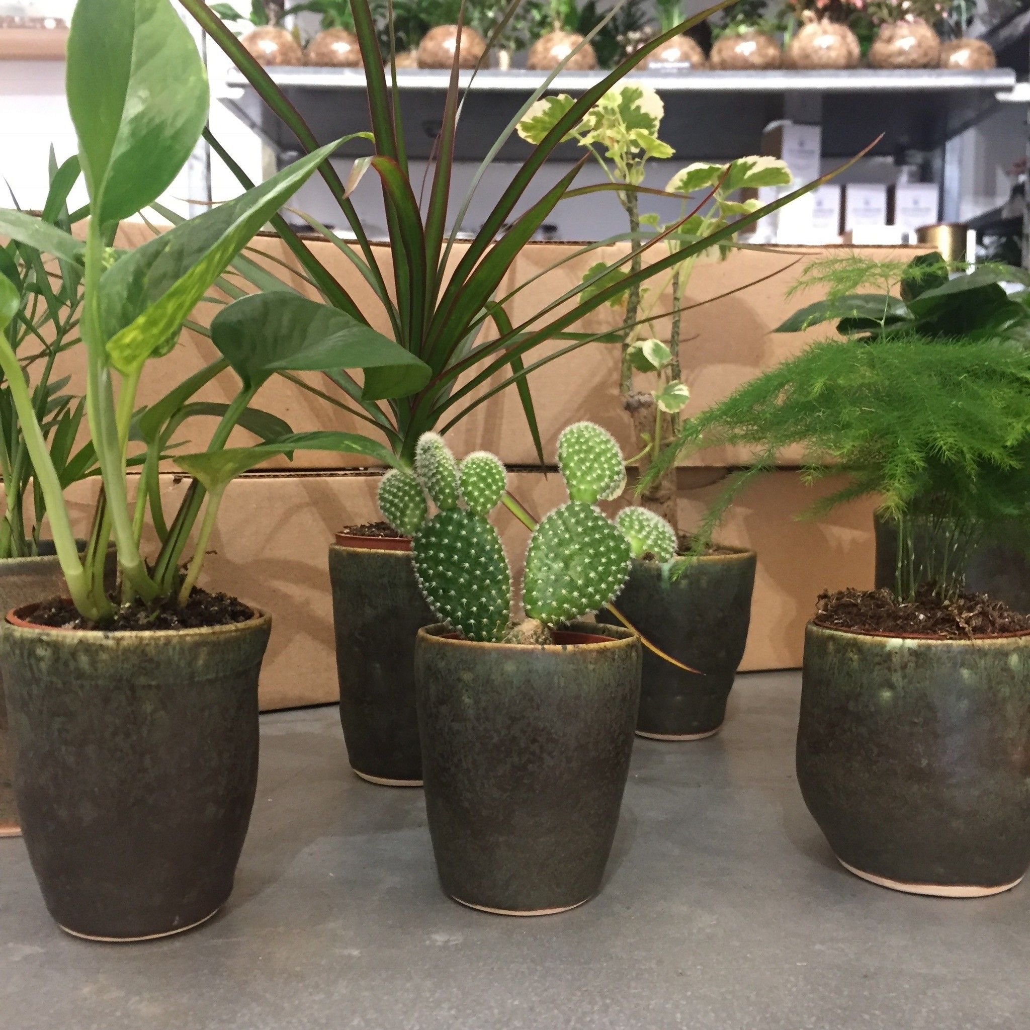 Tasse en grès ou cache pot