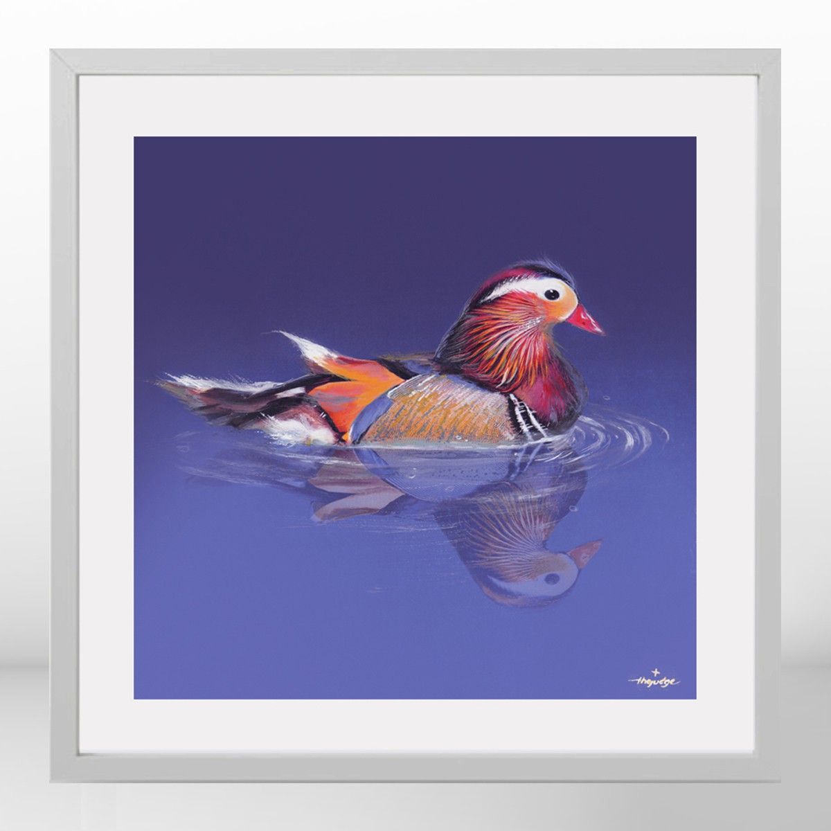 Mandarin Duck- Affiche Peinte