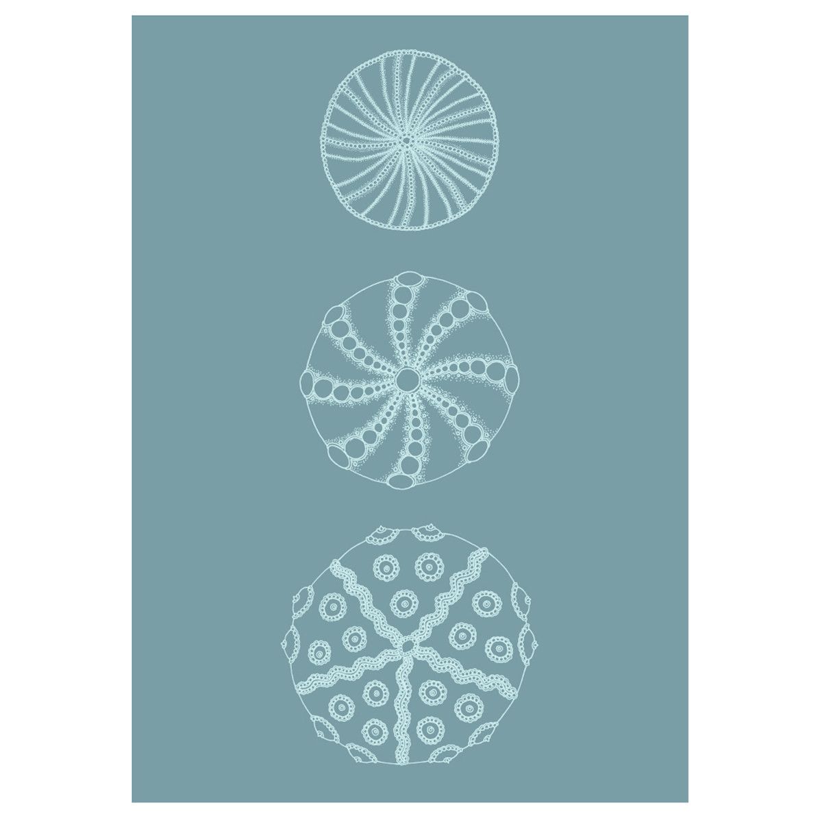 Affiche Psychedelic Urchin