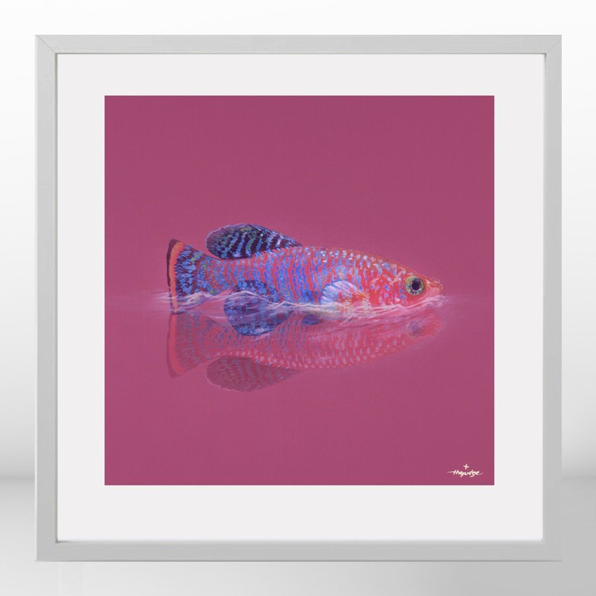 Tropical Fish - Affiche Peinte