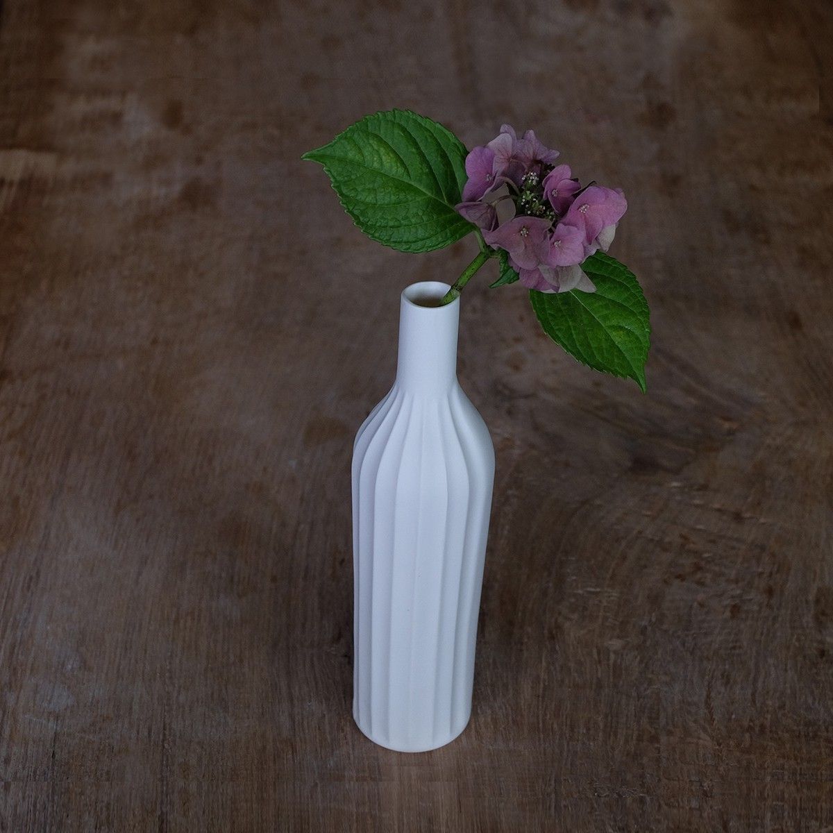 Set Striure - Vase striure