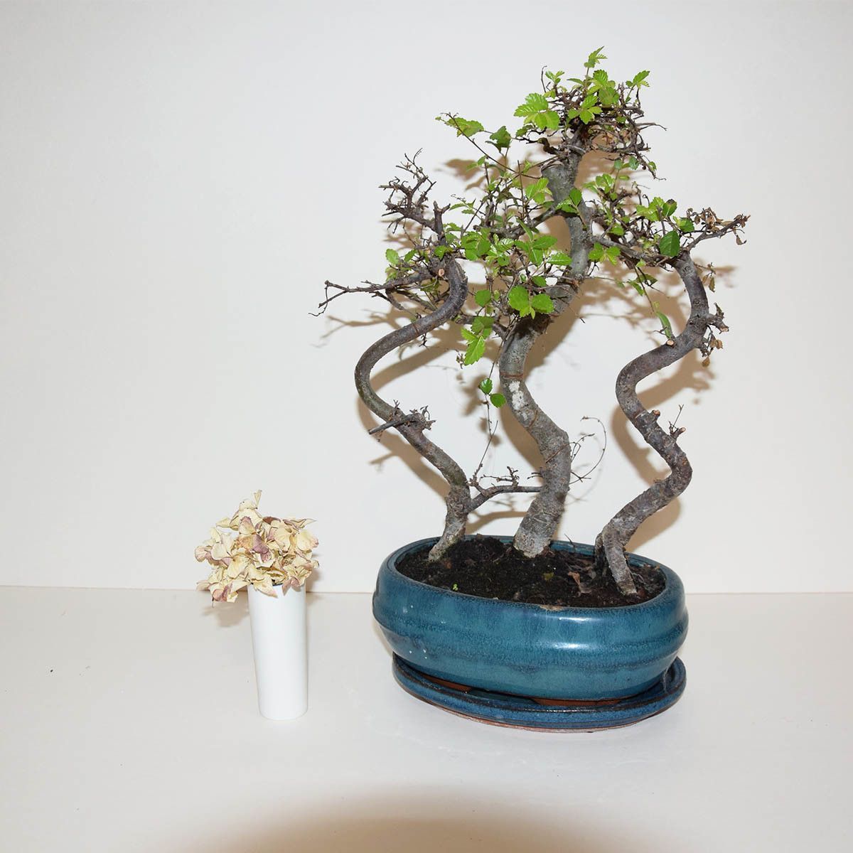 Série Ligne bleue - Mini vase