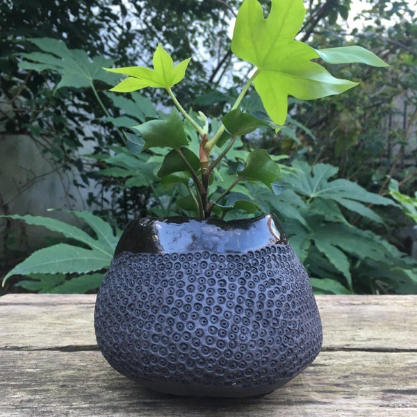 Pot en céramique (grès noir) de Sophie Lalance