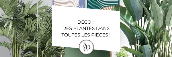 deco plante